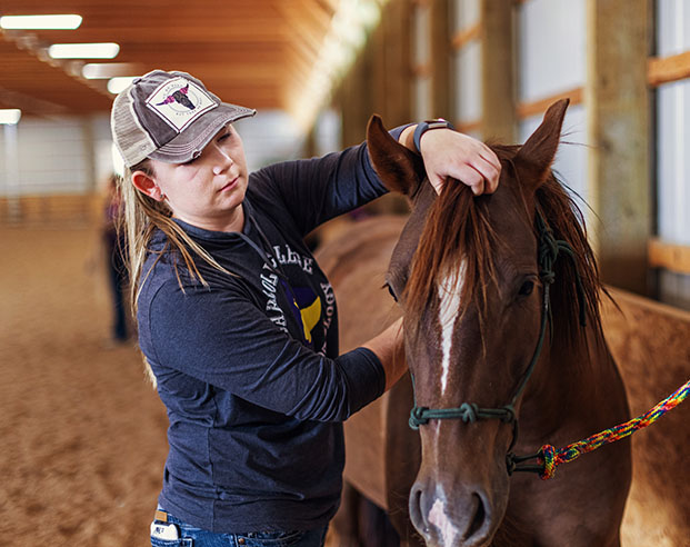 Student brushing the mane of a brown horse while in a barn