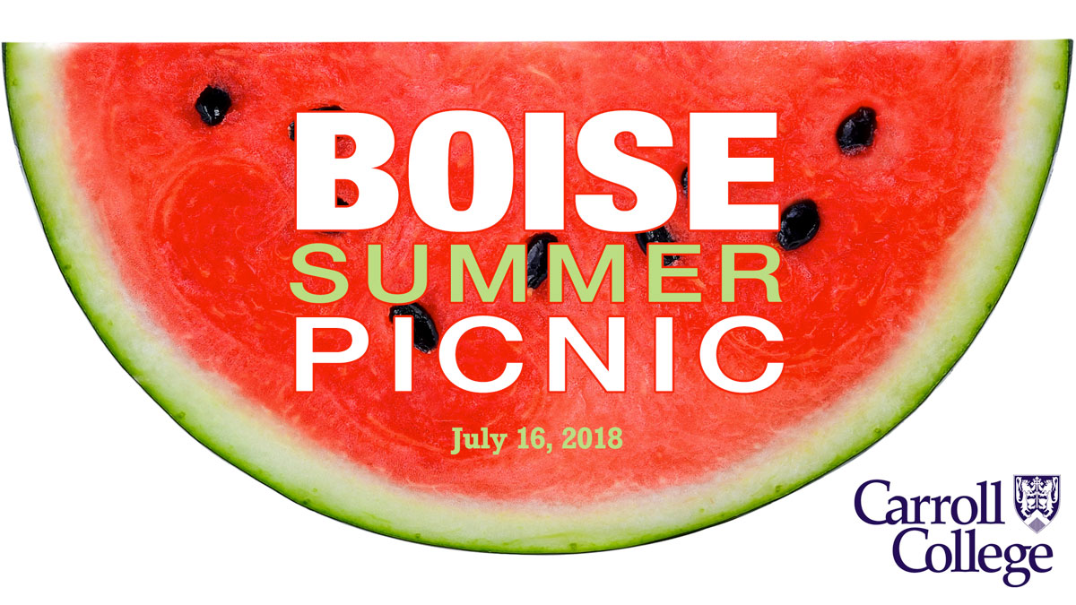 Boise Summer Picnic graphic