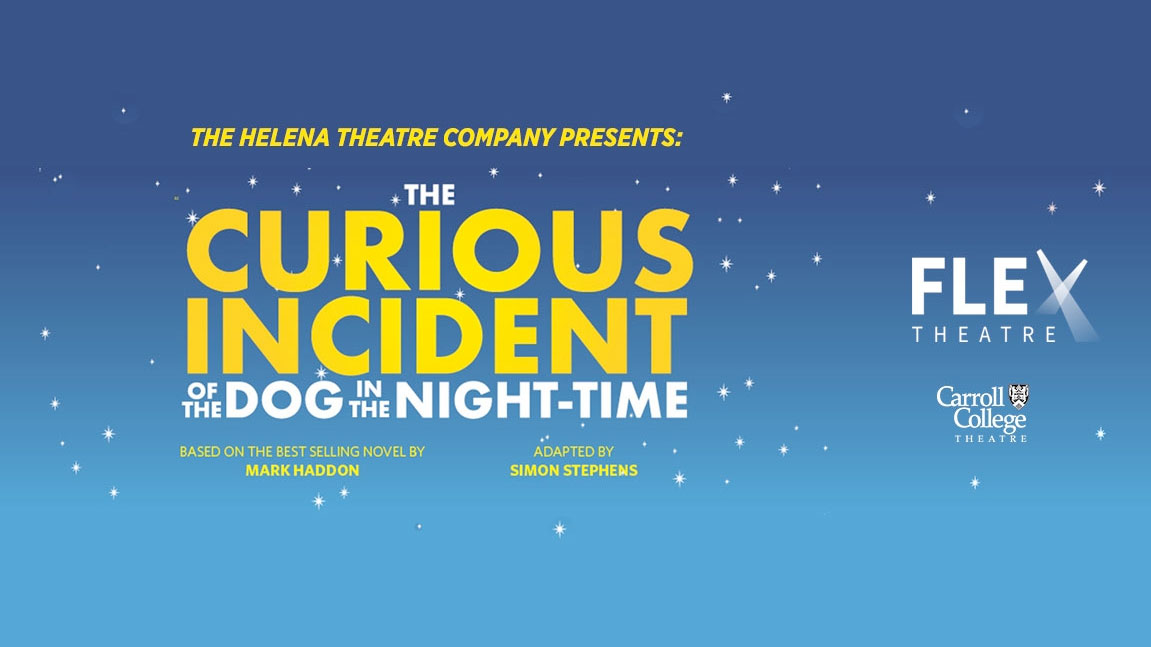 The Curious Incident of the Dog in the Night-Time graphic