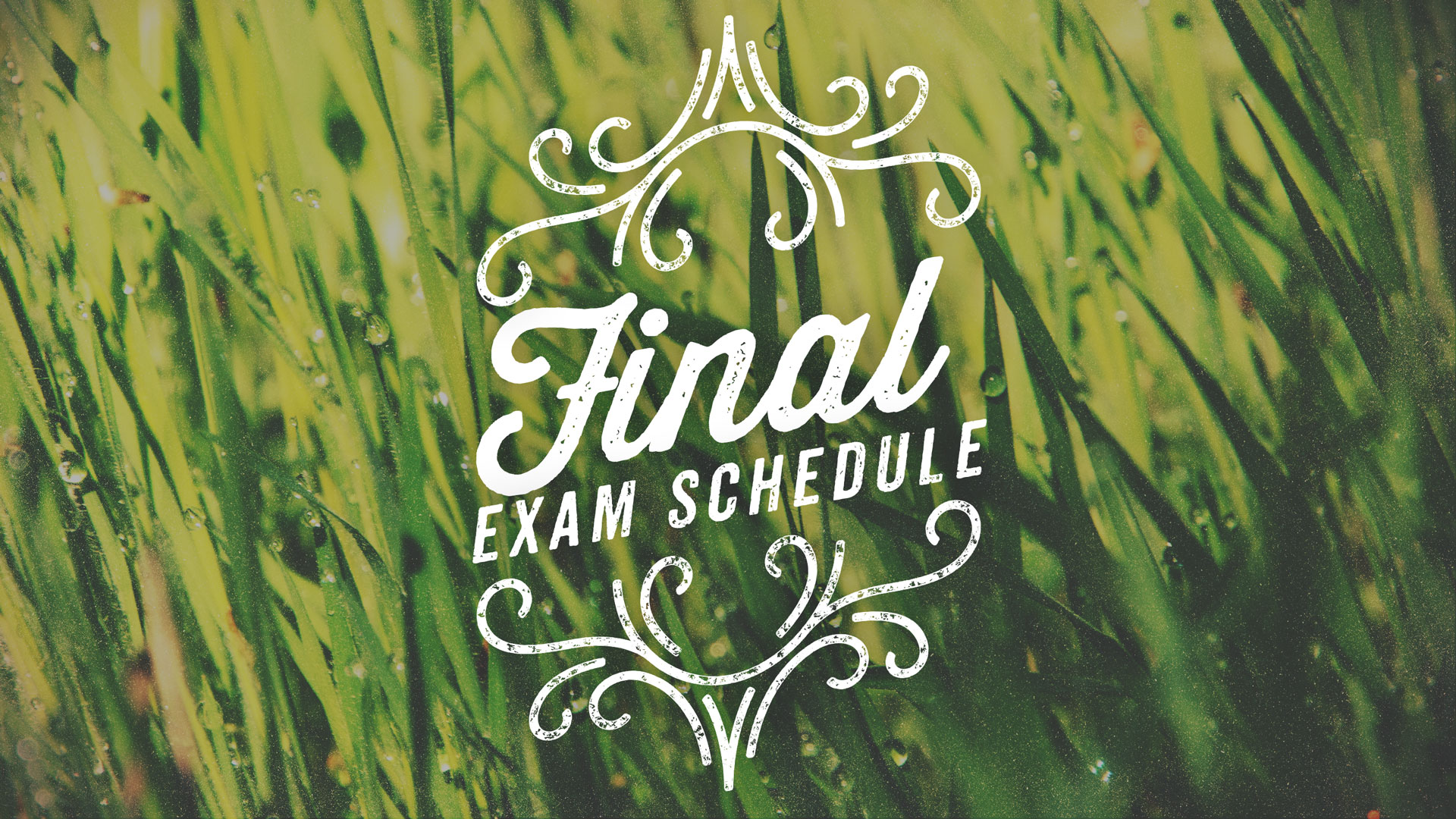 Finals