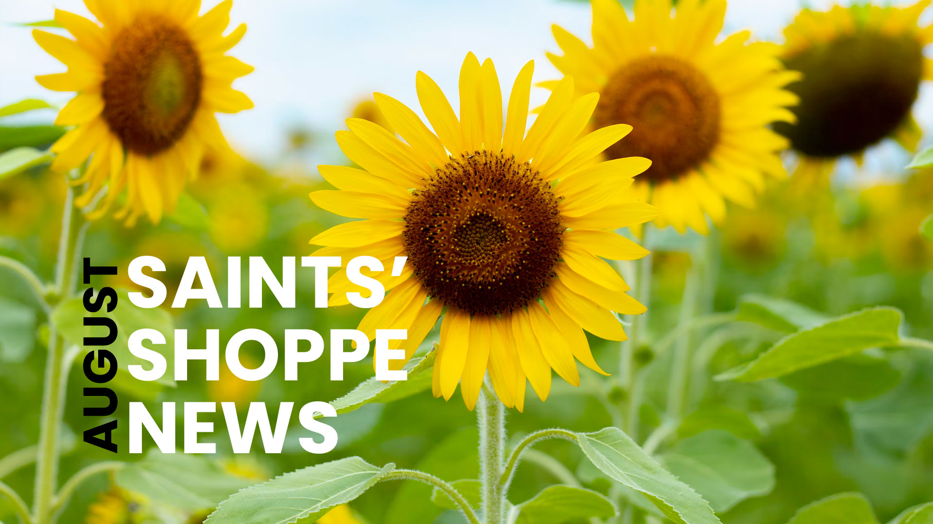 Saints' Shoppe News graphic