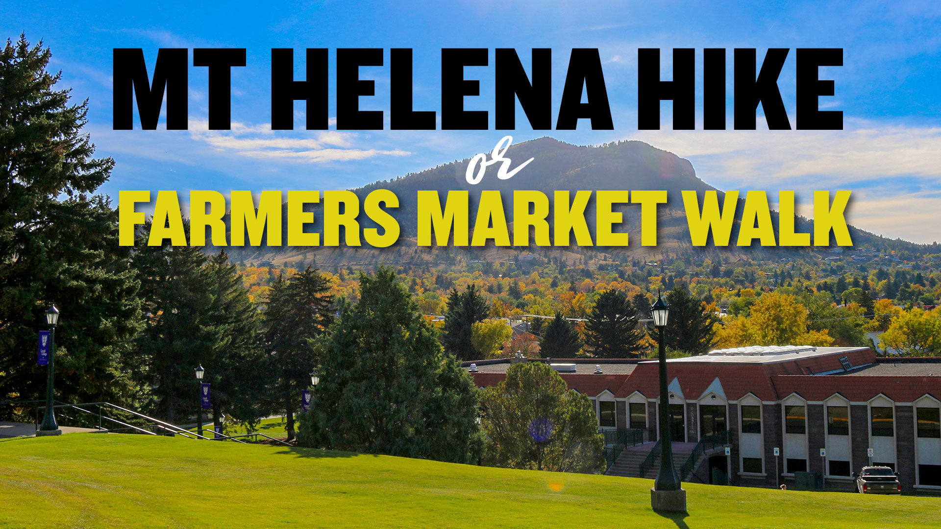 Mt Helena Hike or Farmers' Market