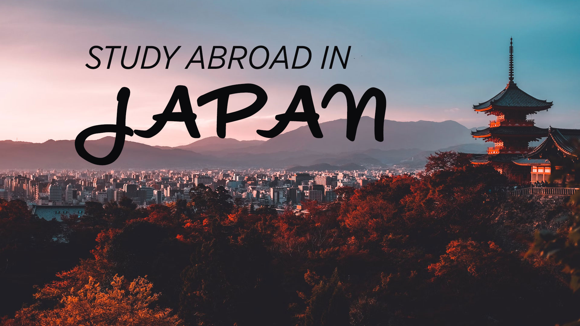 Study Abroad: ANZ in Japan