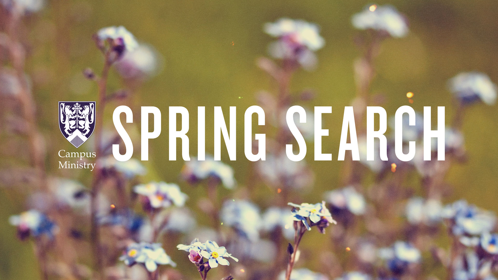 Spring Search Deadline