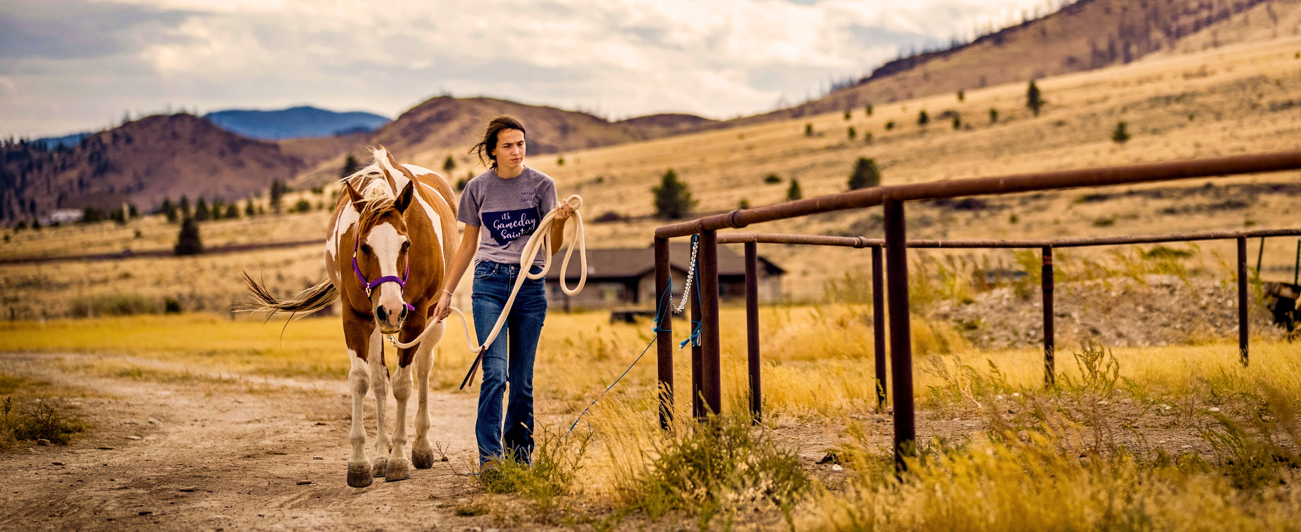 Horse and student