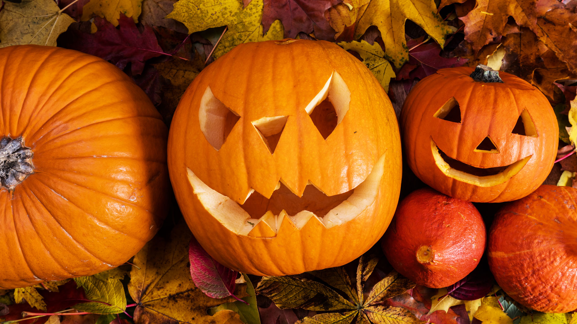 Special Olympics Pumpkin Carving