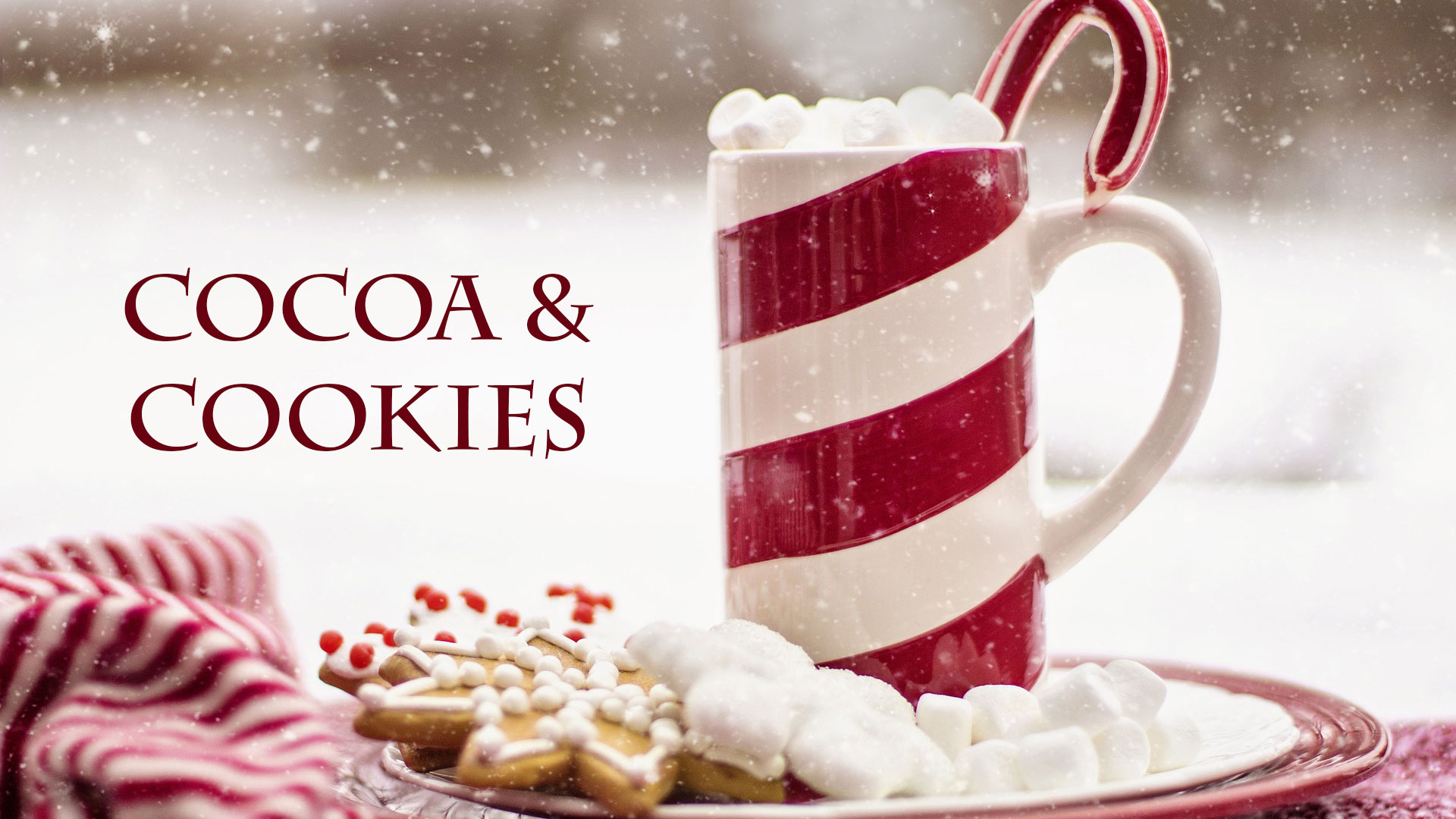 Cocoa and Cookies