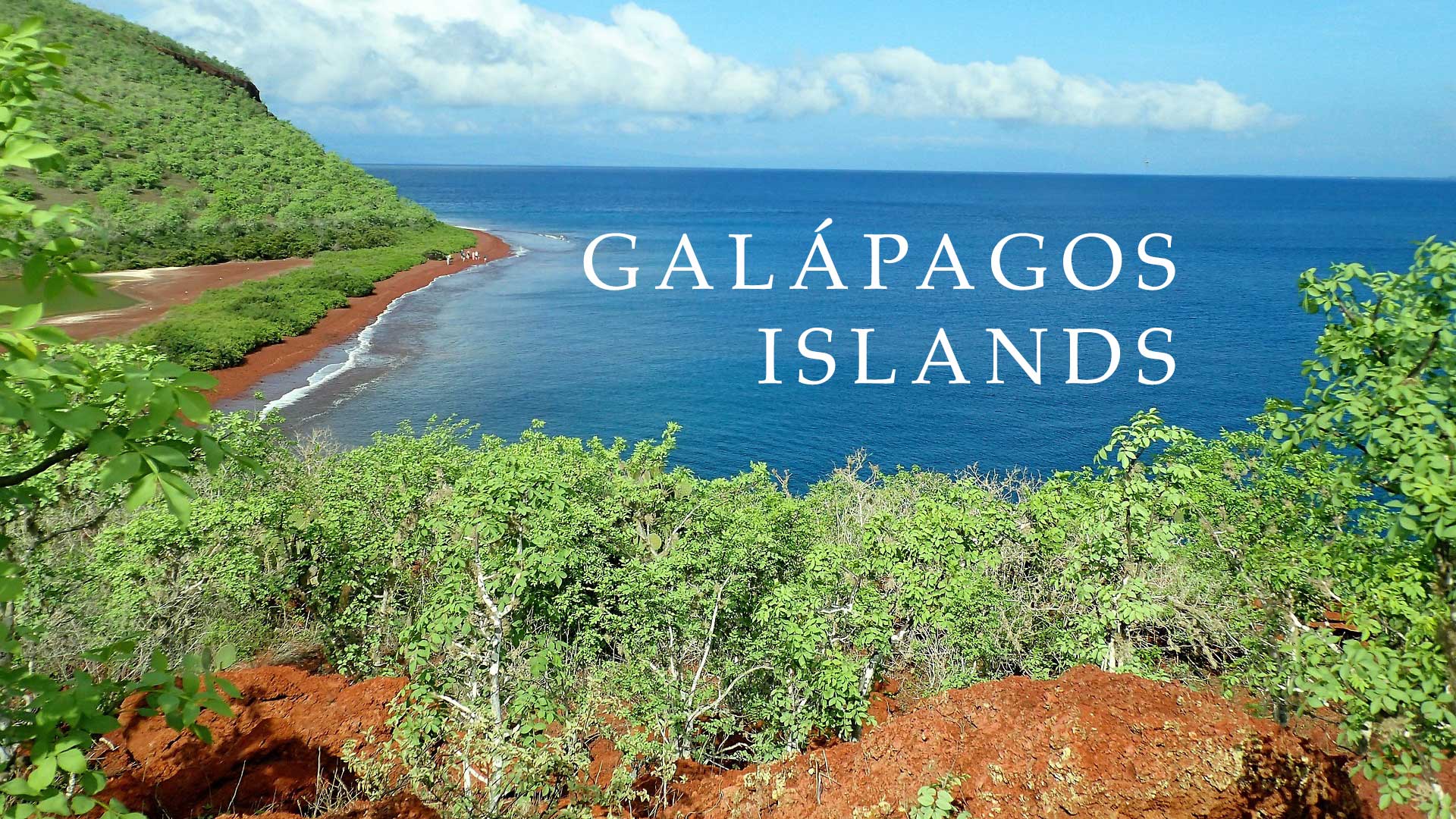 Study Abroad: Galapagos Islands