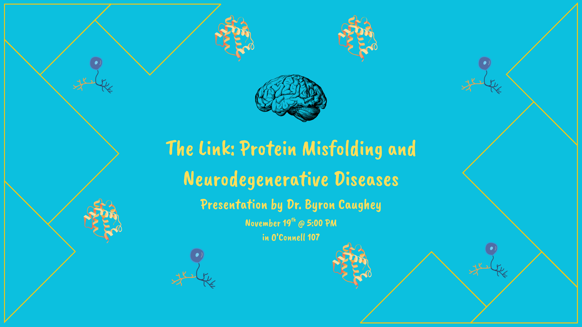The Link Protein Misfolding and Neurodegenerative Diseases