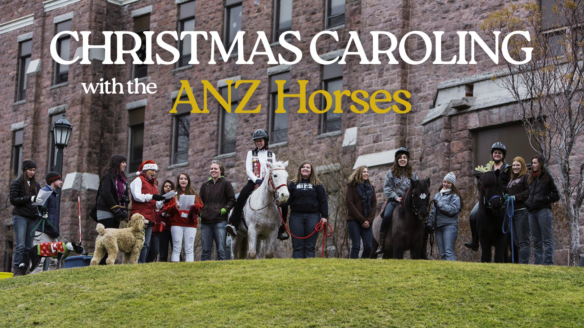 Christmas Caroling with the ANZ Horses
