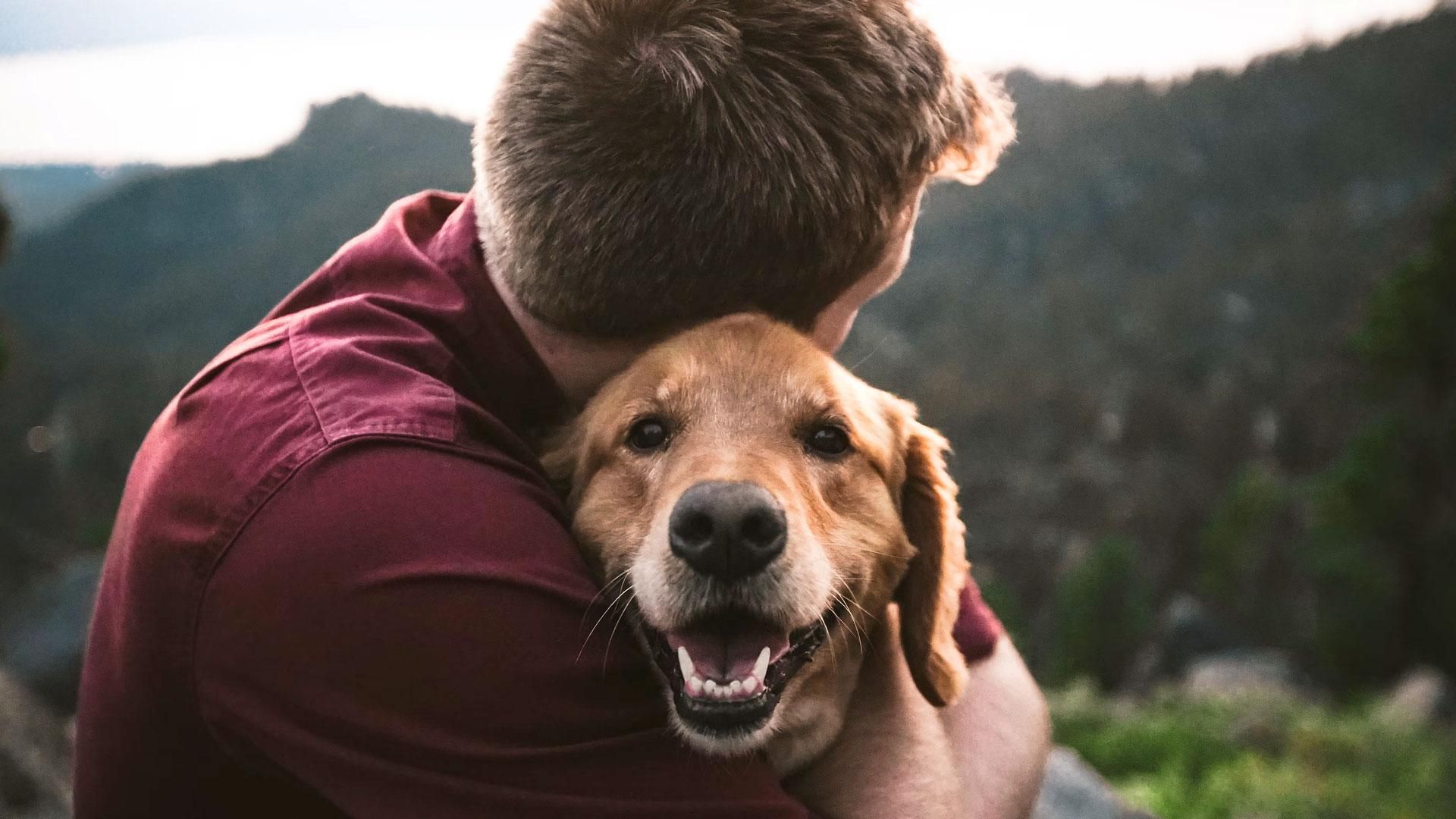 Dog love and hug