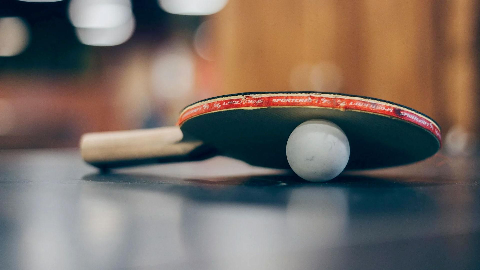 Ping Pong Table Tennis