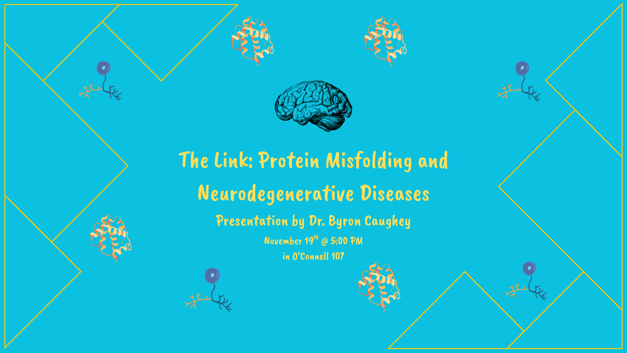 The Link Protein Misfolding and Neurodegenerative Diseases